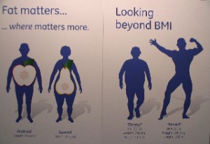 Sarcopenia And Obesity